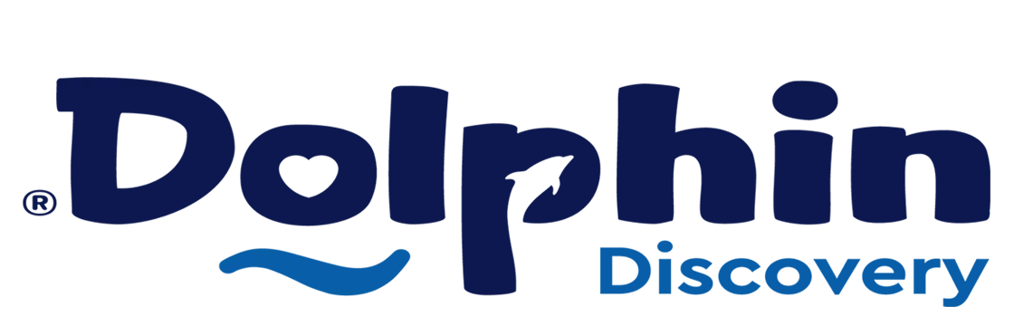 dolphin-discovery